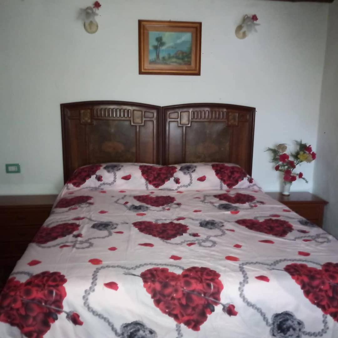 Sardinia Eco Vegan House Bed and Breakfast Zeddiani Eksteriør billede