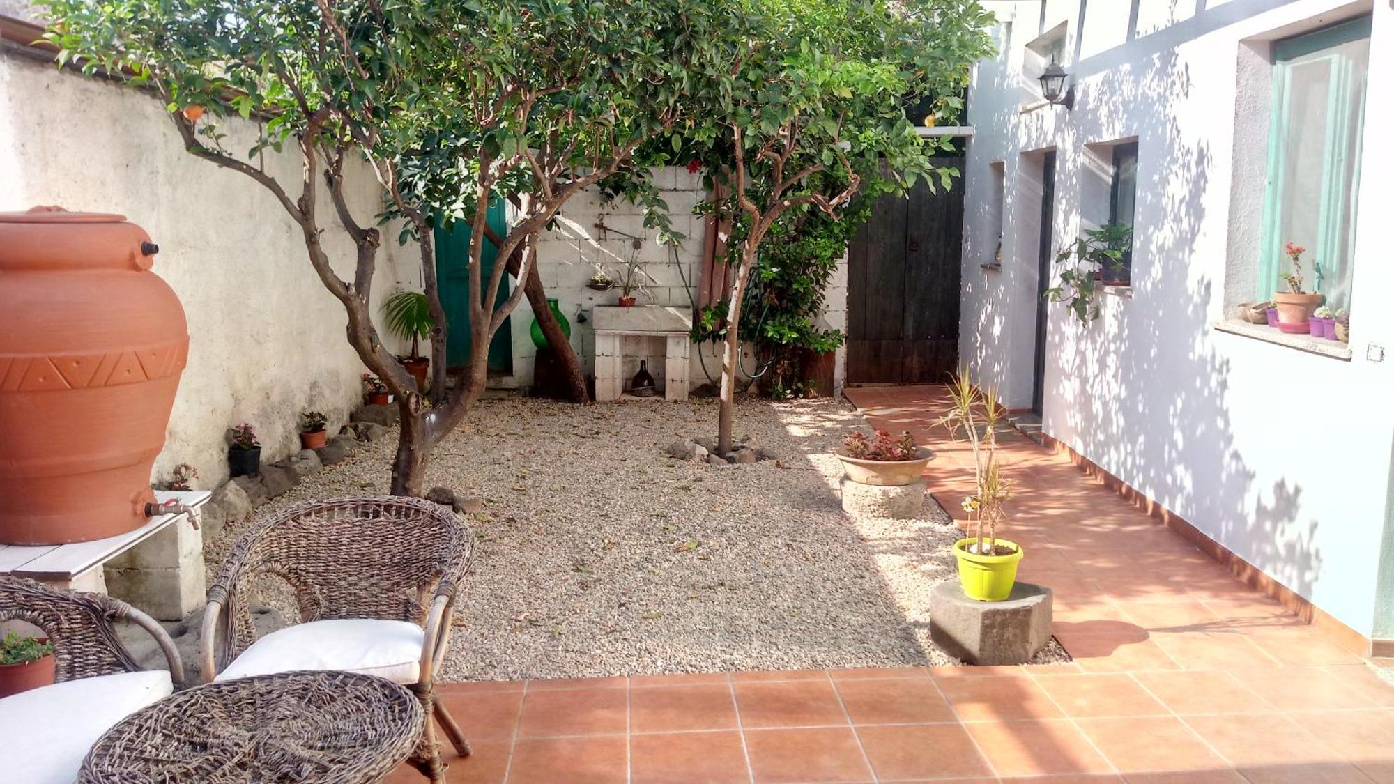 Sardinia Eco Vegan House Bed and Breakfast Zeddiani Eksteriør billede